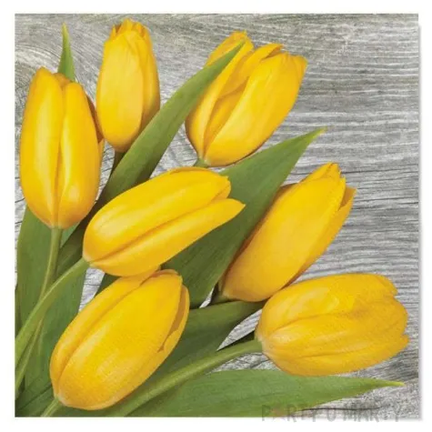 serwetki wielkanoc tulipany na drewnie maki 33 cm 20 szt