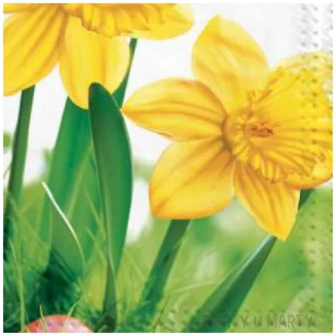 serwetki wielkanoc zonkile z pisankami maki 33 cm 20 szt