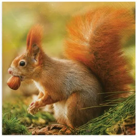 serwetki wiewiorka jak zywa maki 33 cm 20 szt