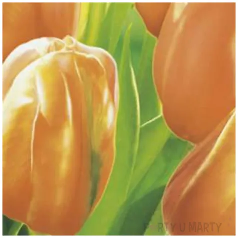 serwetki zolte tulipany na lace maki 33 cm 20 szt