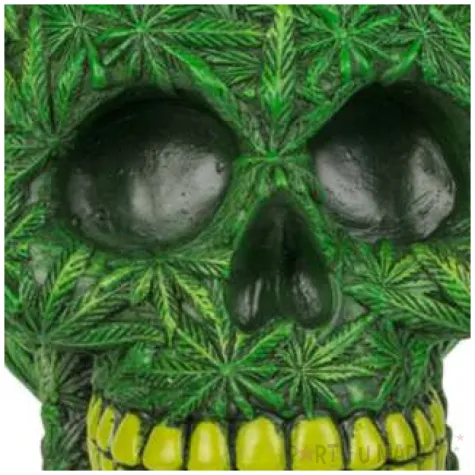 skarbonka lisc marychy ootb