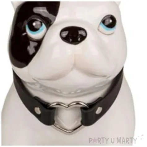 skarbonka pies xl bialy ootb