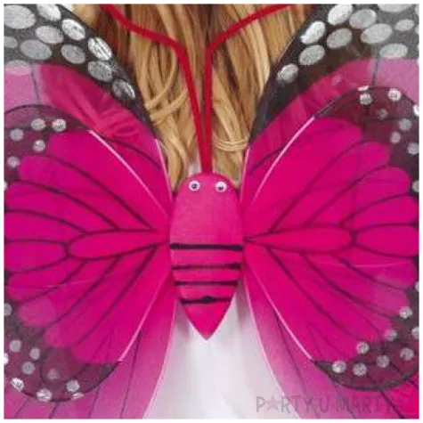 skrzydelka motylek guirca rozm uniwersalny