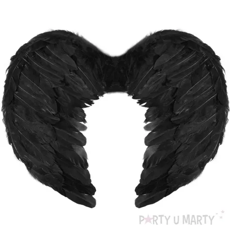 skrzydla aniol ciemnosci czarny partypal 45x35cm