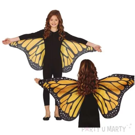 skrzydla barwny motyl pomaranczowe guirca