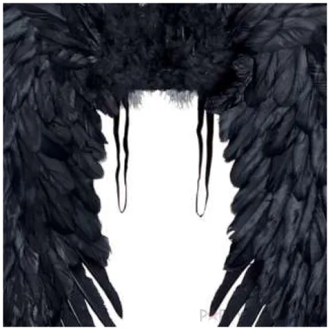 skrzydla upadly aniol czarne widmann 80x65 cm