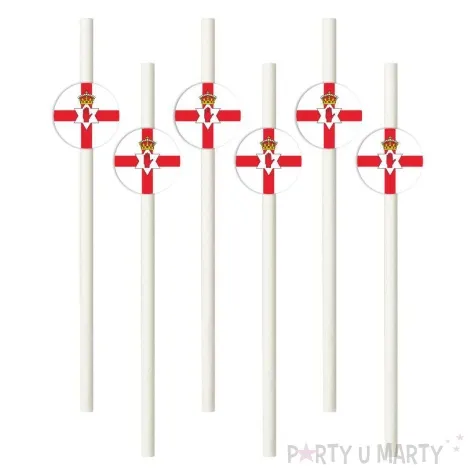 slomki panstwa swiata irlandia polnocna 19 5 cm 6 szt