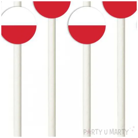 slomki panstwa swiata polska 19 5 cm 6 szt