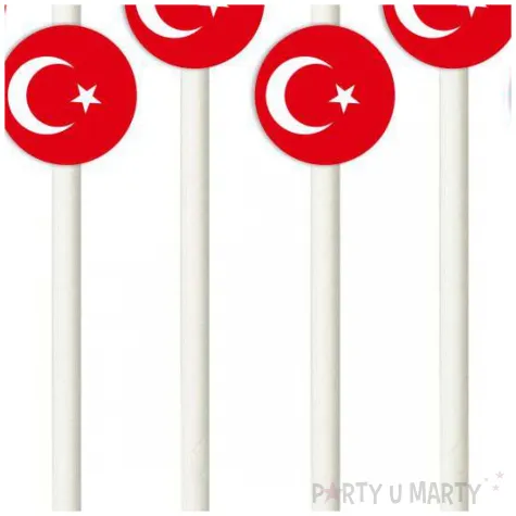 slomki panstwa swiata turcja 19 5 cm 6 szt