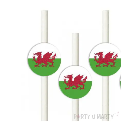 slomki panstwa swiata walia 19 5 cm 6 szt