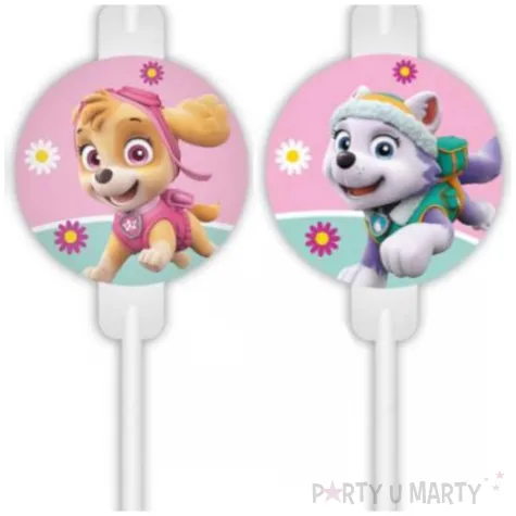 slomki papierowe paw patrol skye i everest procos 22 cm 4 szt