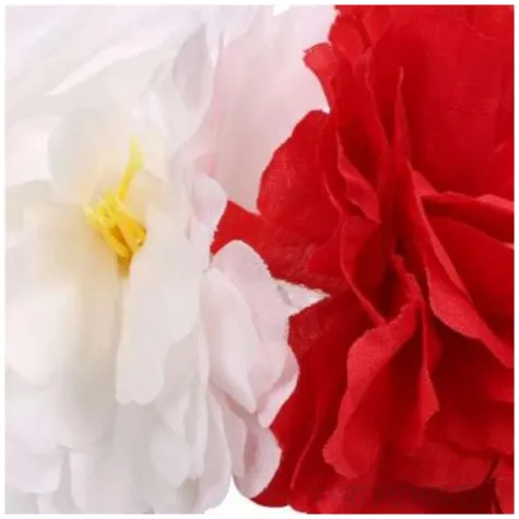 spinka do wlosow polska kwiaty bialy czerwony godan