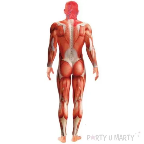 stroj dla doroslych anatomiczny smiffys rozm l