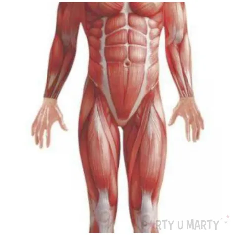 stroj dla doroslych anatomiczny smiffys rozm m