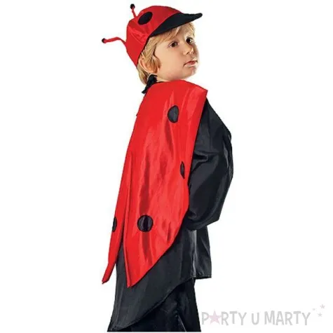 stroj dla dzieci pan biedronka kraszek rozm 122 128 cm