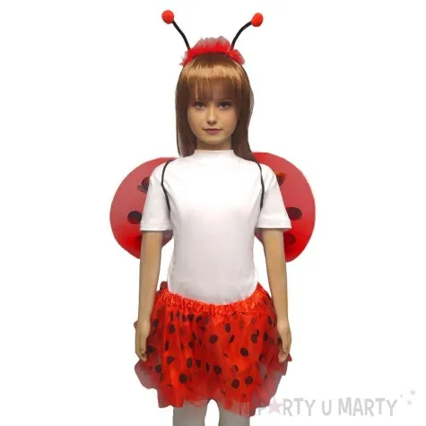 stroj dla dzieci zestaw biedronka kraszek