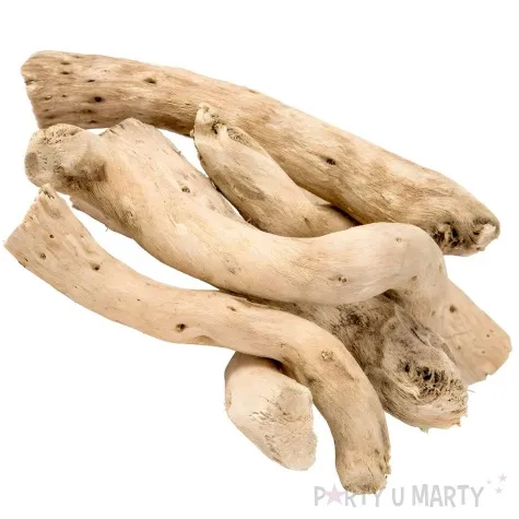 susz dekoracyjny kopi kone galazki czakos 6 szt