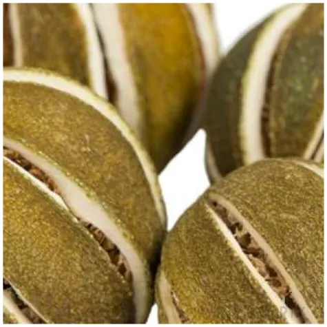 susz dekoracyjny limonki cale czakos 5 cm 4 szt