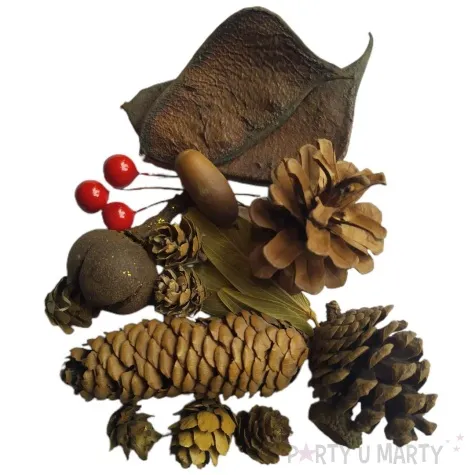 susz dekoracyjny mieszanka swiateczna lux 30g brewis