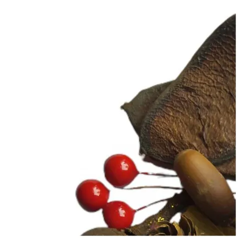 susz dekoracyjny mieszanka swiateczna lux 30g brewis