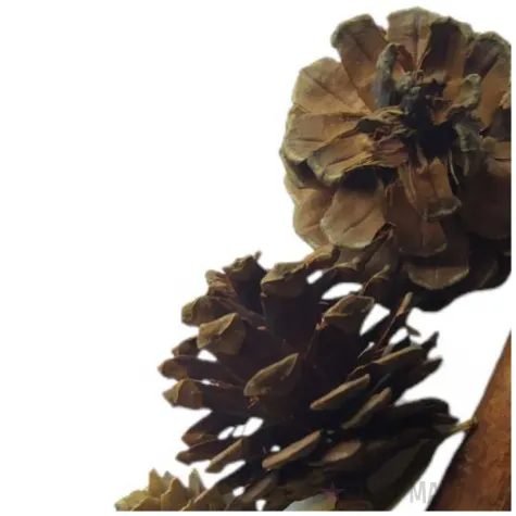 susz dekoracyjny mieszanka swiateczna z listkami 30 g brewis