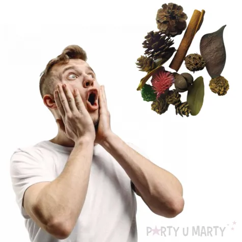 susz dekoracyjny mieszanka swiateczna z listkami 30 g brewis