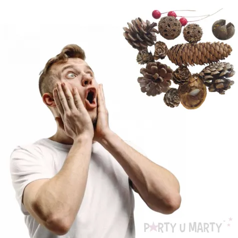 susz dekoracyjny mieszanka swiateczna z owocami ostrokrzewu 30g brewis