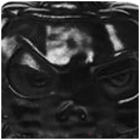 swieca dynia halloweenowa czarna candellana 9 5 cm