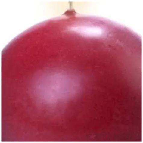 swieca kula fi 80 matowa bordowa 6 szt 1 op