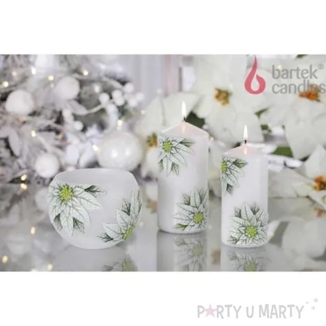 swieca pienkowa christmas flower kwiaty poinsencji biala bartek candles 150 70 mm