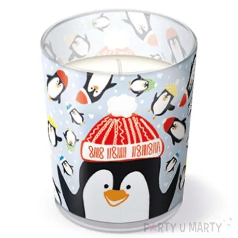 swieca w szkle zimowi przyjaciele paw