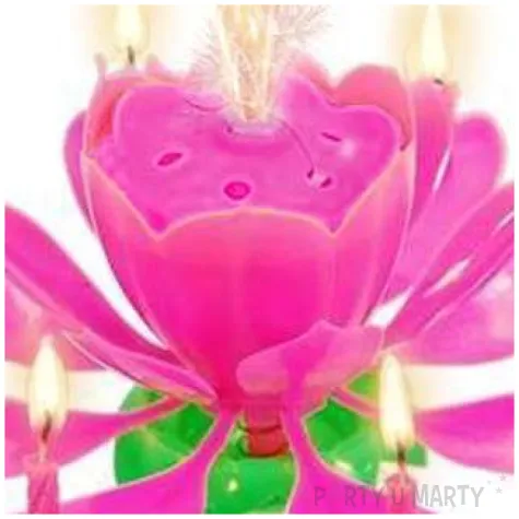 swieczka kwiatek grajaco tanczacy rozowy godan