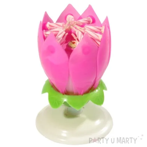 swieczka kwiatek grajacy happy birthday rozowa tamipol