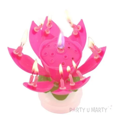 swieczka kwiatek grajacy happy birthday rozowa tamipol