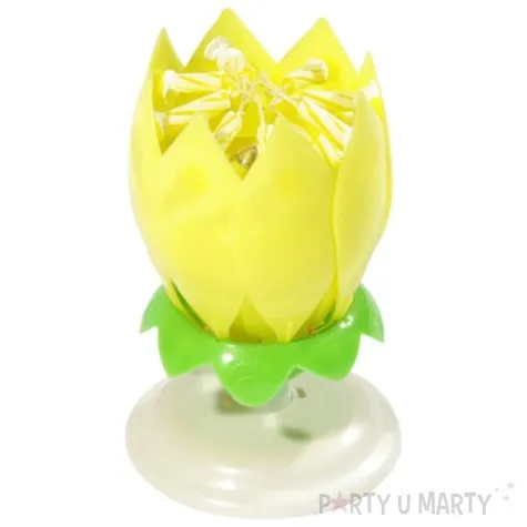 swieczka kwiatek grajacy happy birthday zolta tamipol