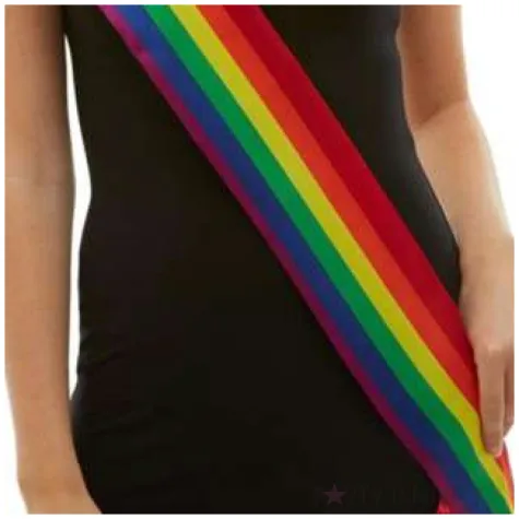 szarfa rainbow teczowa smiffys