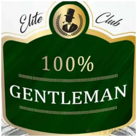 szklanka do whiskey 100 gentleman przezroczysta z napisem bgtech 270 ml