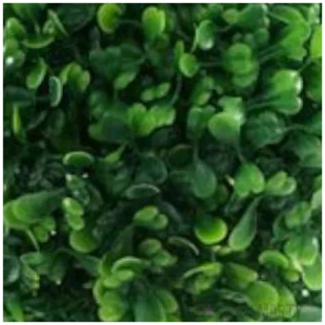 sztuczny kwiat kula bukszpanowa dekoracjepolska rozm s