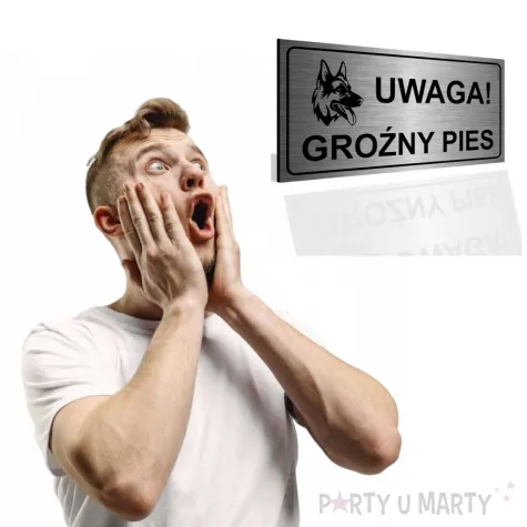 tabliczka informacyjna znak na brame uwaga grozny pies srebrny ostrzezenie 20x10 cm