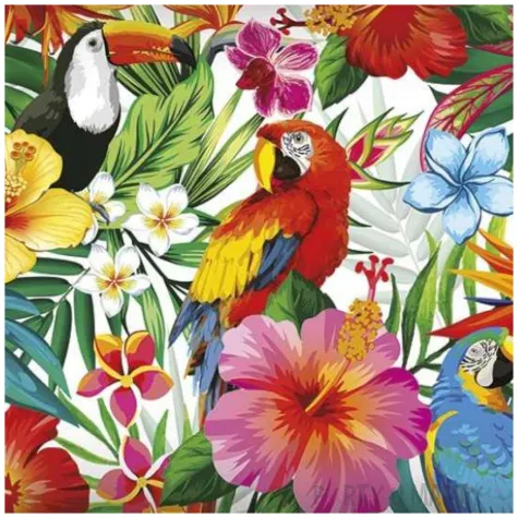 tacka hawaje tukan i papuga guirca 39x24 cm