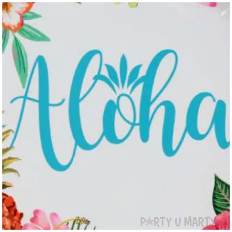 talerzyki papierowe aloha santex 22 5 cm 10 szt