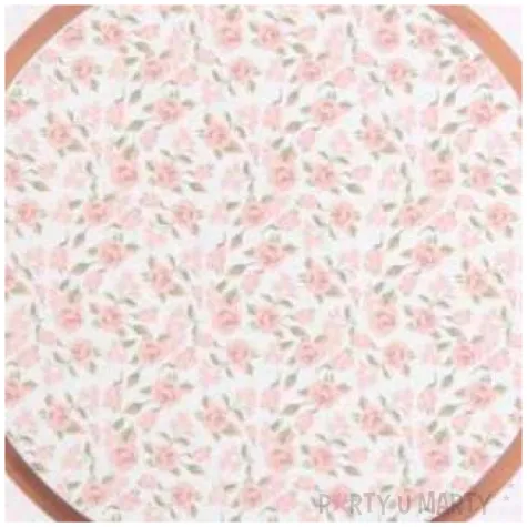 talerzyki papierowe balerina santex 22 5 cm 10 szt