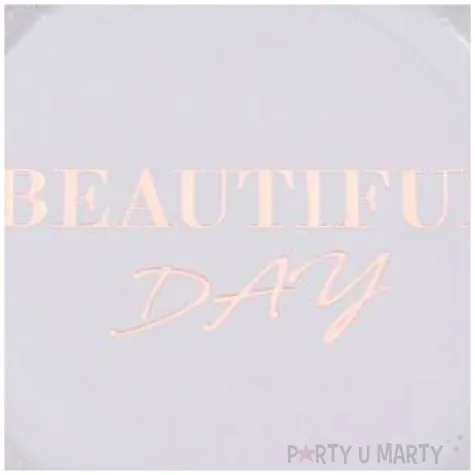 talerzyki papierowe beautiful day santex 22 5 cm 10 szt