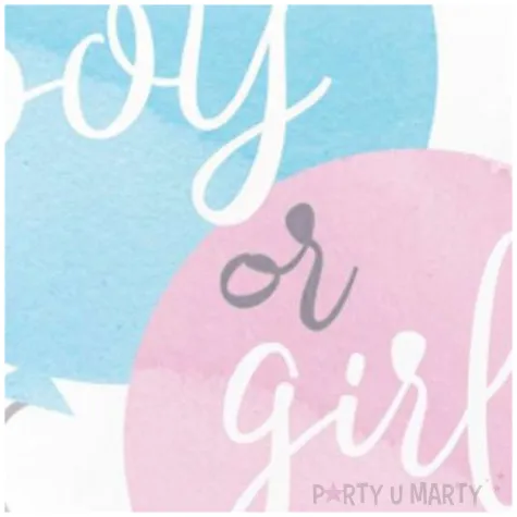 talerzyki papierowe boy or girl balony rozowo blekitny godan 23 cm 8 szt