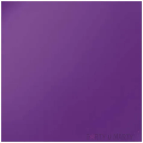 talerzyki papierowe classic fioletowe fsopakowania 23 cm 8 szt