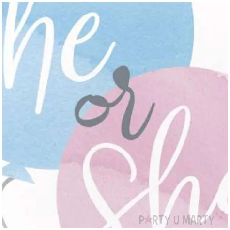 talerzyki papierowe gender party kolorowe godan 18 cm 8 szt