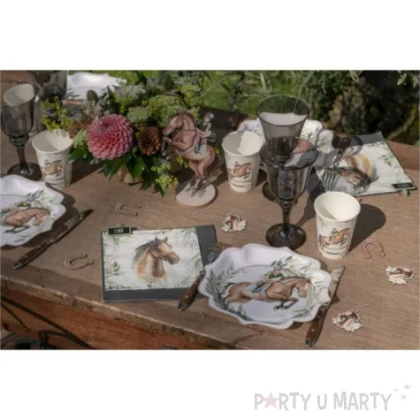 talerzyki papierowe jazda konna santex 21 cm 10 szt