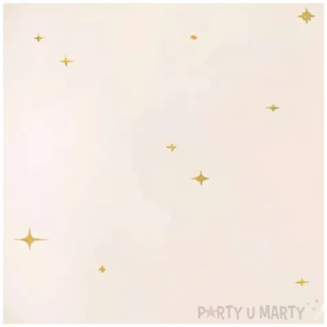 talerzyki papierowe jednorazowe gwiazdki dekoracja na urodziny 21 cm 6 szt