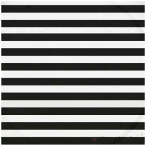 talerzyki papierowe paski czarno biale paw 18cm 10 szt