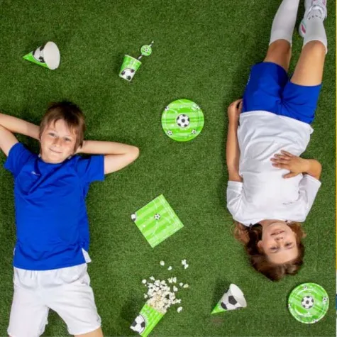 talerzyki papierowe pilka nozna boisko partypal 18 cm 6 szt